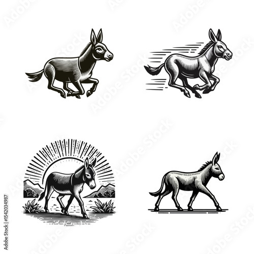 Donkey engrave illustration logo icon design