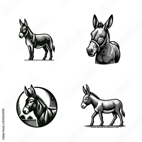 Donkey engrave illustration logo icon design