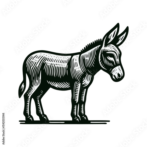 Donkey engrave illustration logo icon design