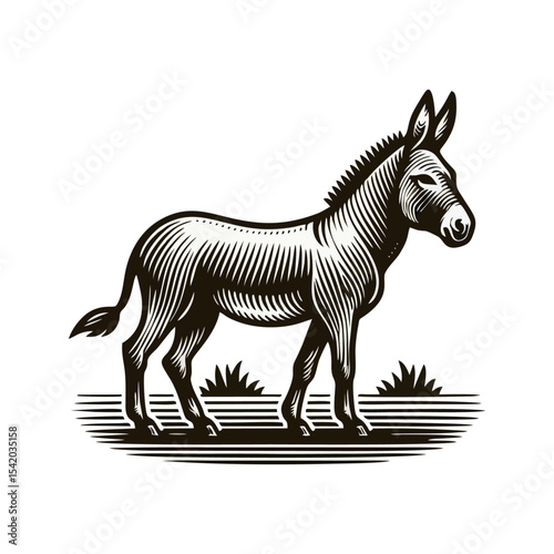 Donkey engrave illustration logo icon design