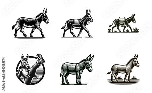 Donkey engrave illustration logo icon design