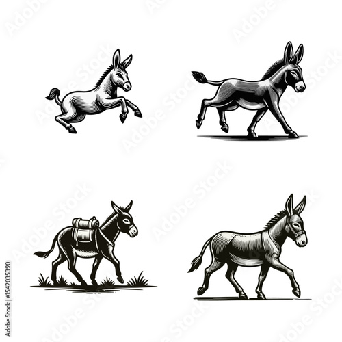 Donkey engrave illustration logo icon design