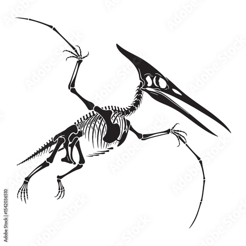 Prehistoric wings redefined – Pteranodon skeleton silhouette with stylized Pteranodon skeleton vector – dinosaur skeleton silhouette

