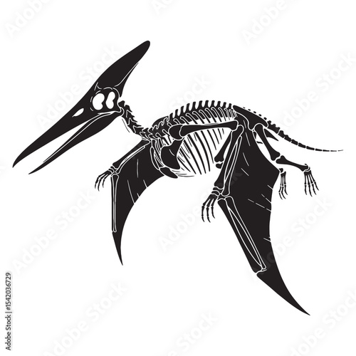 A flight through deep time – Pteranodon skeleton silhouette captured in Pteranodon skeleton vector – dinosaur skeleton silhouette


