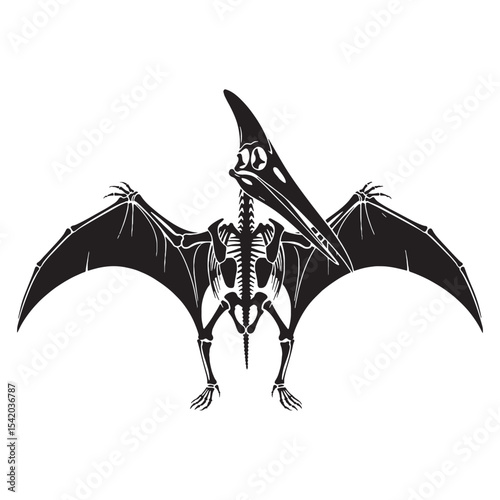 An elegant prehistoric form – Pteranodon skeleton silhouette paired with a refined Pteranodon skeleton vector – dinosaur skeleton silhouette

