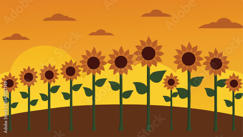 Vibrant field of sunflowers under a golden sky vector illustration suitable for design