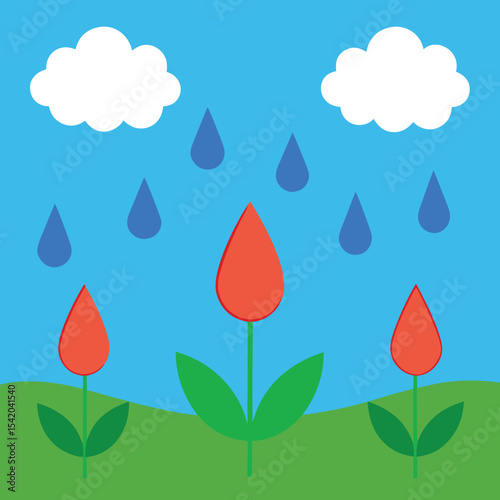 Vibrant red tulip flowers blooming in the rain under a blue sky with clouds