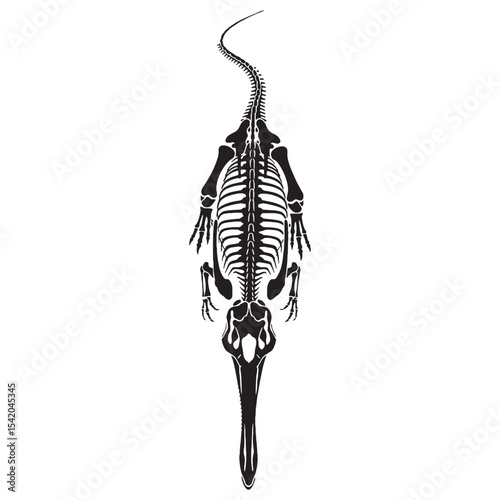 Monstrous yet graceful – Spinosaurus skeleton silhouette brought to life in Spinosaurus skeleton vector – dinosaur skeleton silhouette

