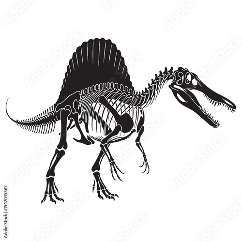 A Jurassic icon in profile – Spinosaurus skeleton silhouette stylized as Spinosaurus skeleton vector – dinosaur skeleton silhouette


