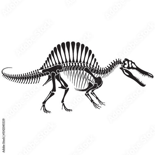 Reimagining ancient dominance – Spinosaurus skeleton silhouette in dynamic Spinosaurus skeleton vector – dinosaur skeleton silhouette

