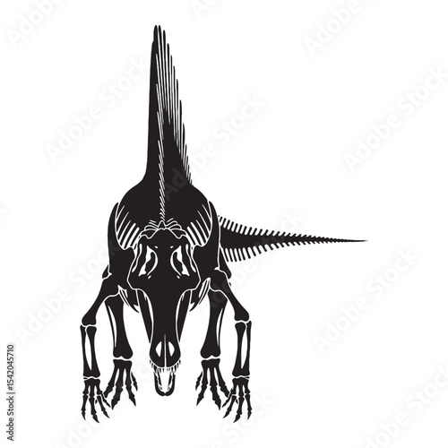Anatomy of a hunter – Spinosaurus skeleton silhouette and Spinosaurus skeleton vector illustration – dinosaur skeleton silhouette

