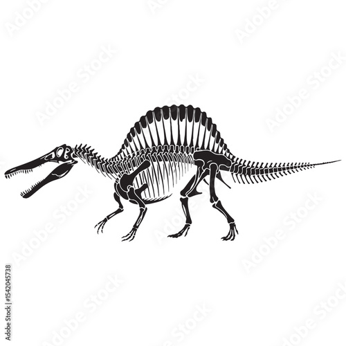 Fossil legend reinterpreted – Spinosaurus skeleton silhouette in strong Spinosaurus skeleton vector lines – dinosaur skeleton silhouette

