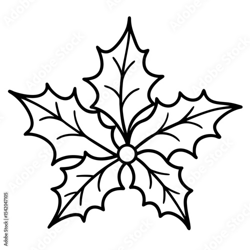 Holly Leaves line art vector