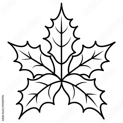 Holly Leaves line art vector