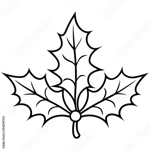 Holly Leaves line art vector