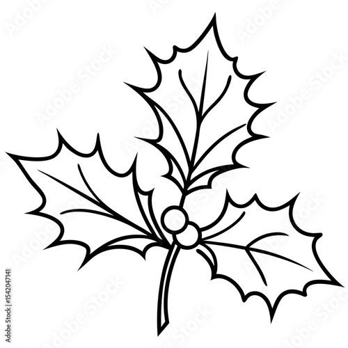 Holly Leaves line art vector