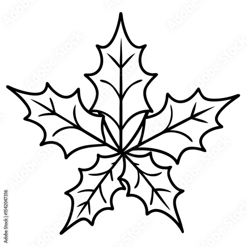 Holly Leaves line art vector