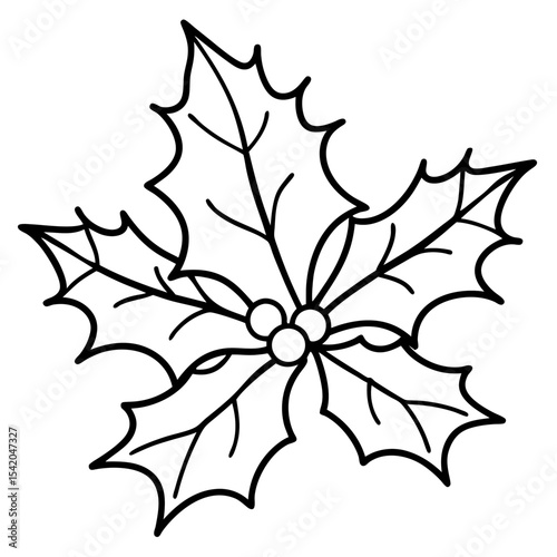 Holly Leaves line art vector