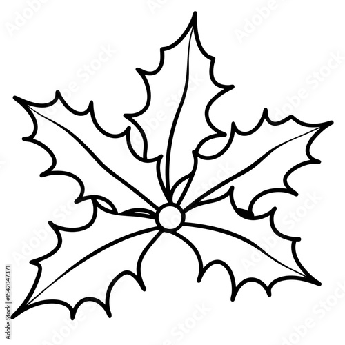 Holly Leaves line art vector