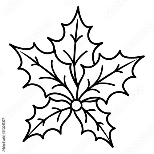 Holly Leaves line art vector