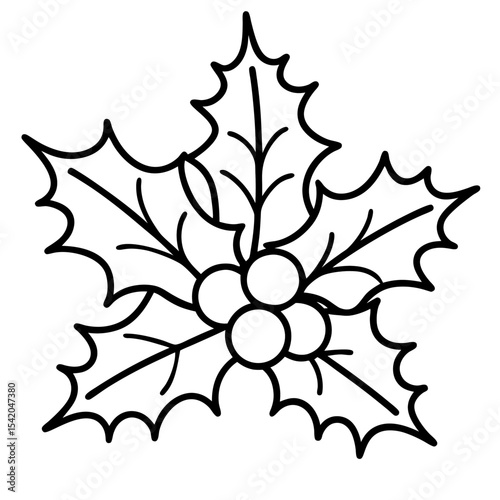Holly Leaves line art vector