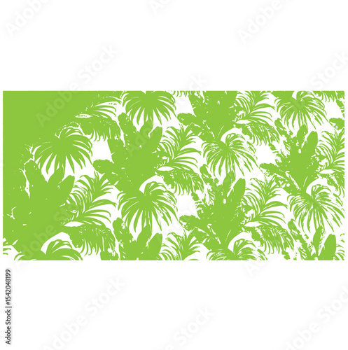 Black silhouettes of palm trees, tropical leaves of trees. Collection of tropical exotic leaves of palm, monstera, coconut, banana tree.
