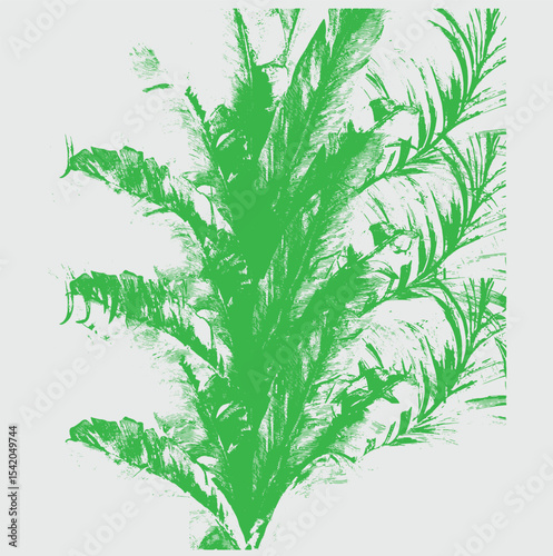 Black silhouettes of palm trees, tropical leaves of trees. Collection of tropical exotic leaves of palm, monstera, coconut, banana tree.