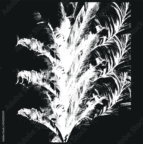 Black silhouettes of palm trees, tropical leaves of trees. Collection of tropical exotic leaves of palm, monstera, coconut, banana tree.
