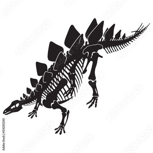 Skeletal symmetry of a legend – Stegosaurus skeleton silhouette and simplified Stegosaurus skeleton vector – dinosaur skeleton silhouette

