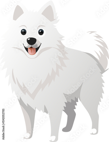 American Eskimo Dog
