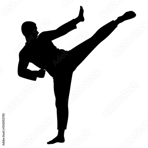 Martial artist in action logo icon illustration for karate move and sports theme