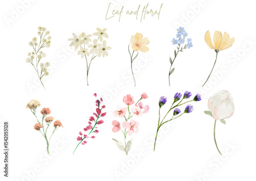Vector illustration of pink flowers and green leaves on a white background