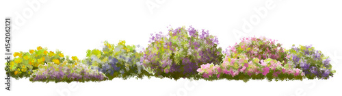Vector of tree or blooming  side view isolated on white background ,watercolor tree elevation for landscape concept,environment scene,eco design,blossom garden for spring