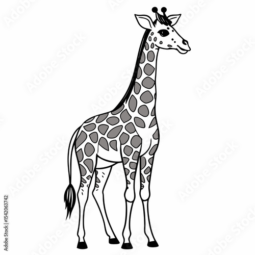 giraffe vector illustration