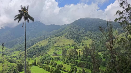 Panoramic panning shot of Valle del Cocora in Salento, Quindío, Colombia showcasing iconic tall wax palm trees, lush green mountains, cloudy sky, Andean landscape, and tropical natural scenery