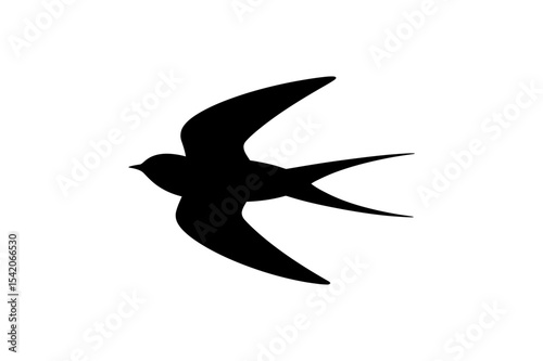 Silhouette of a swallow bird in flight on white background