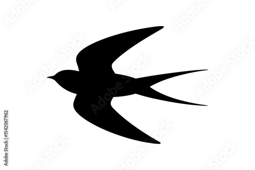 Black silhouette of a flying swallow bird vector