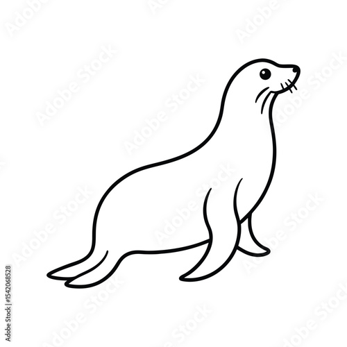 sea lion line art