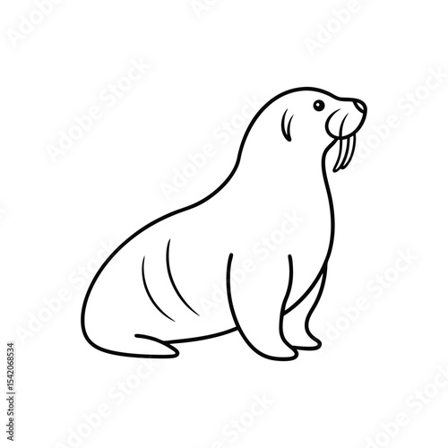 walrus line art