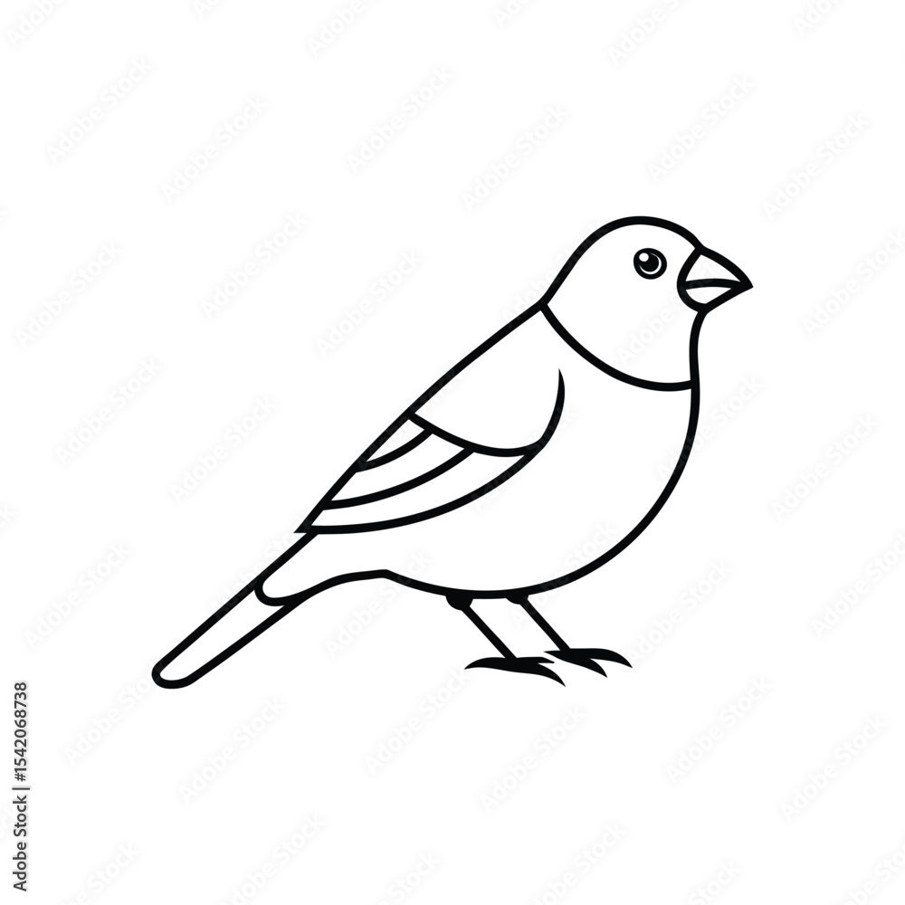 Fototapeta premium finch line art