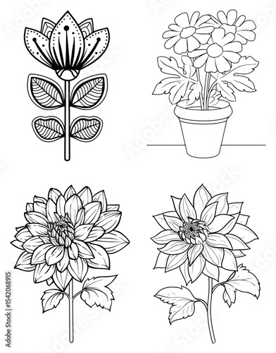 Black  white flower illustrations two single flowers a pot of daisies  an ornamental blossom
