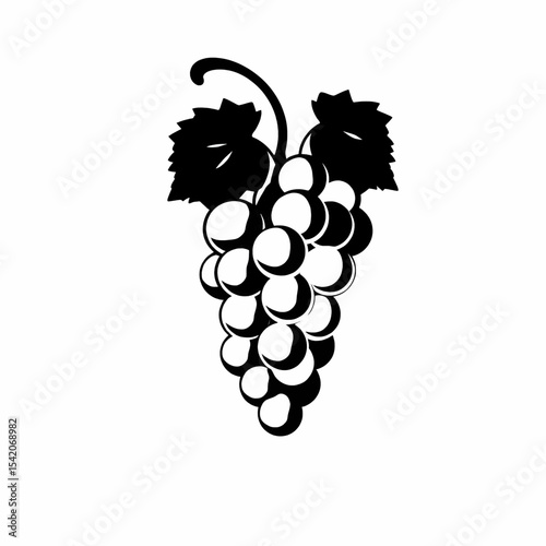 Black  white grapes with vine and leaves detail