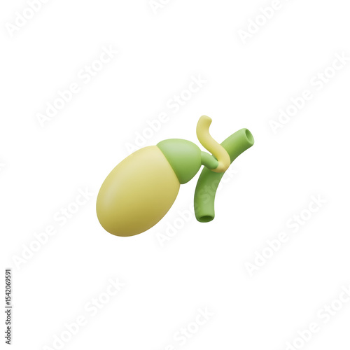 Stylized Gallbladder Anatomy Illustration with Transparent Background for Medical Education and Awareness Projects. 