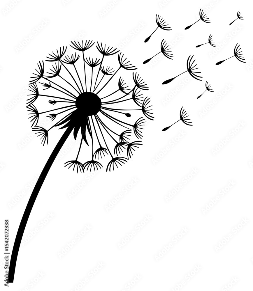Obraz premium black and white silhouette of dandelion and seeds flying out