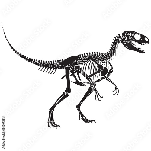 Archeological beauty in line – Velociraptor skeleton silhouette shaped through Velociraptor skeleton vector – dinosaur skeleton silhouette


