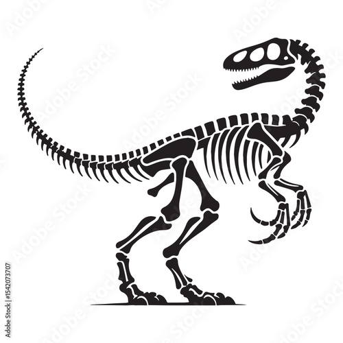 Study of a swift hunter – Velociraptor skeleton silhouette paired with accurate Velociraptor skeleton vector – dinosaur skeleton silhouette

