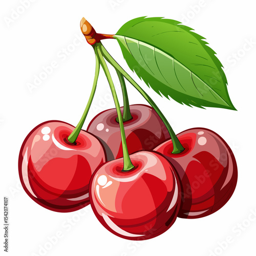 Fresh red cherries with green leaf illustration