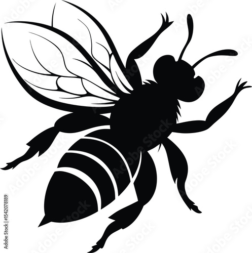 Black and White Bee Illustration, Vector Graphic of Honeybee, Insect Art, Nature Design