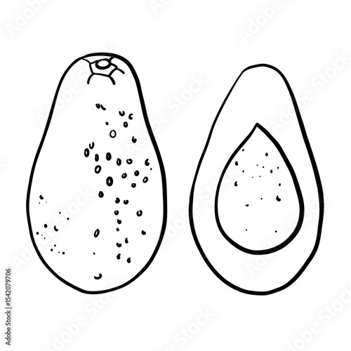 Realistic cartoon avocado fruit. Half an avocado with the pit. Black outline hand drawing, sketch. Avocado cut in half on white background