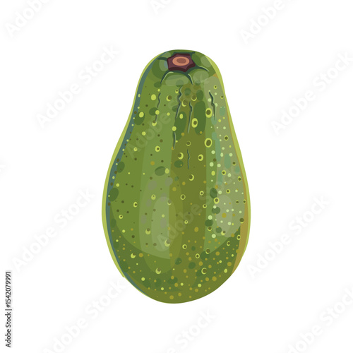 Realistic cartoon avocado fruit on white background